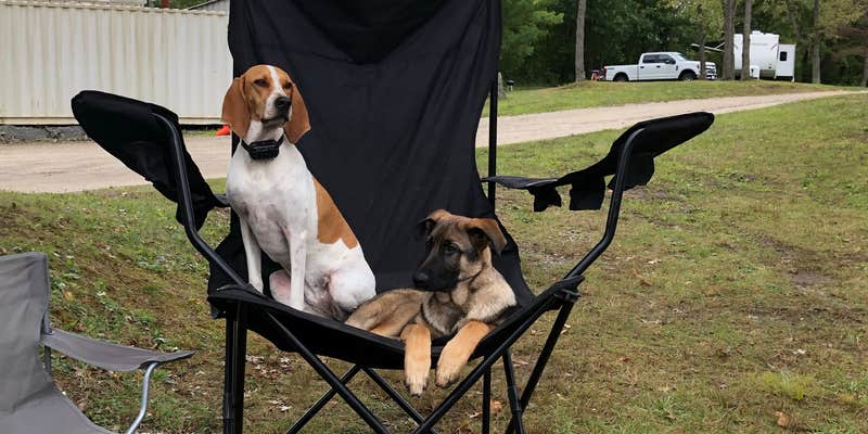 Camper submitted image from Kool Lakes Family RV Park