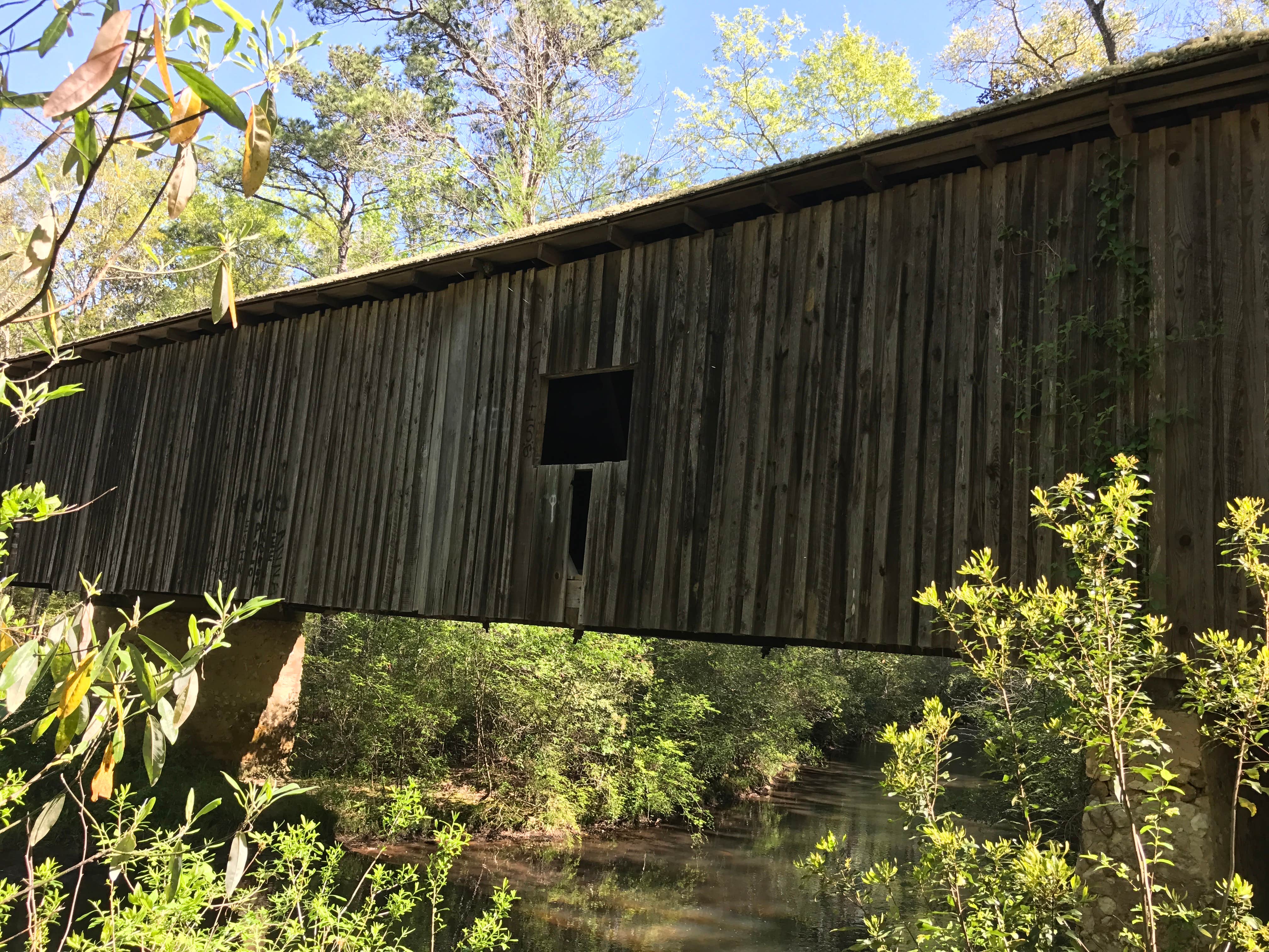 Camper submitted image from Coheelee Creek Park - PERMANENTLY CLOSED - 3