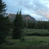 Review photo of Trappers Lake Cutthroat Campground by Campground Recon C., October 6, 2020