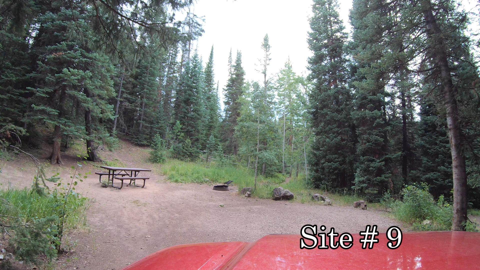 Camper submitted image from Marvine Campground - 3