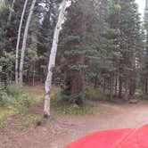 Review photo of Marvine Campground by Campground Recon C., October 6, 2020