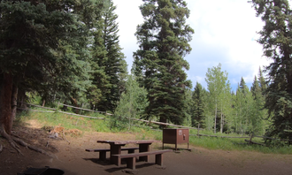 Camping near Trappers Lake Cutthroat Campground: East Marvine, Meeker, Colorado