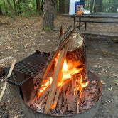 Review photo of Tishomingo State Park Campground by K S., October 6, 2020