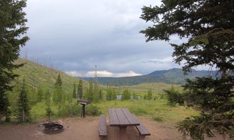 Camping near Routt National Forest Bear Lake Campground: Shepherds Rim Campground, Yampa, Colorado