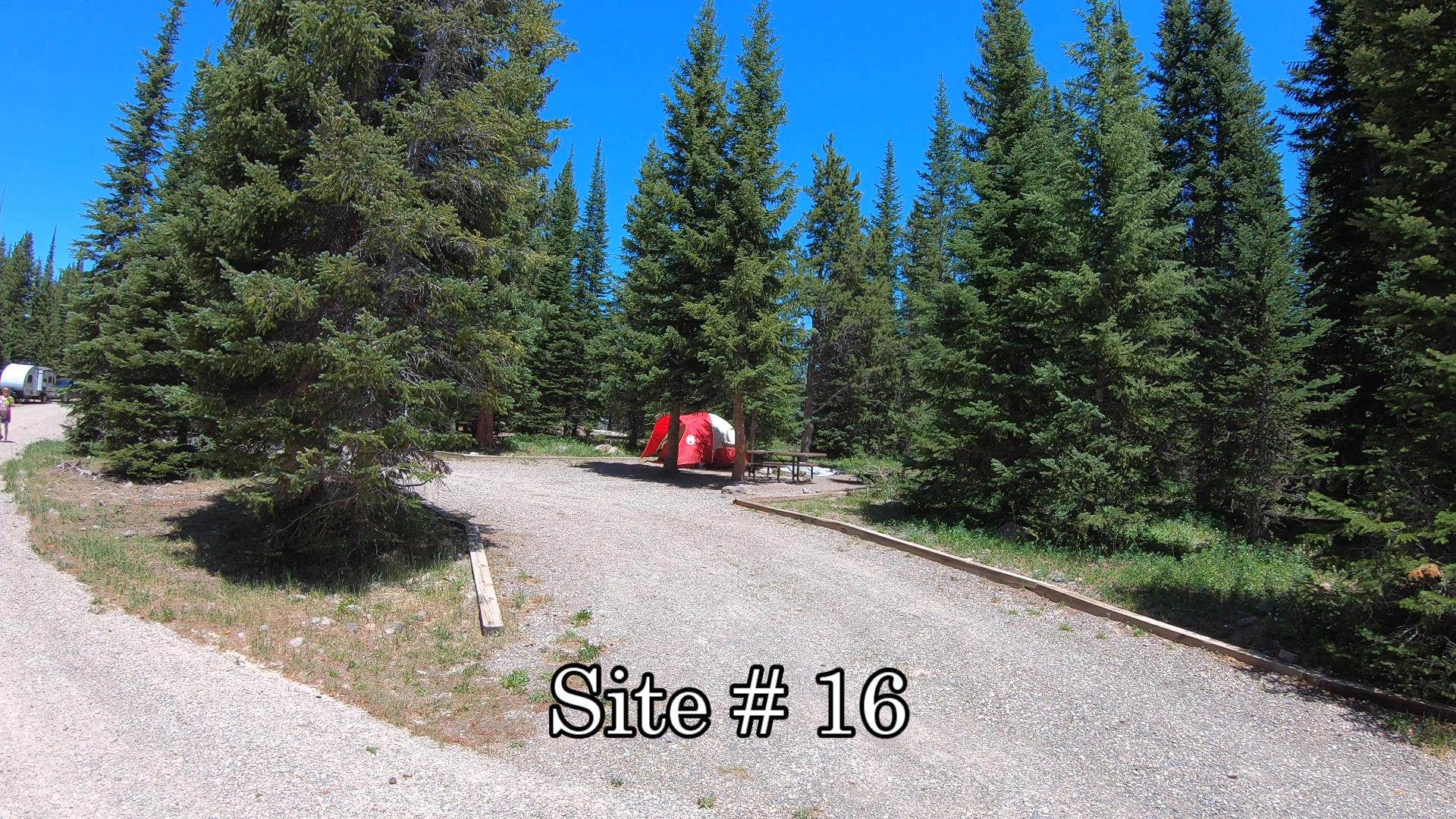 Camper submitted image from Shepherds Rim Campground - 5