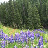 Review photo of Gunnison National Forest Lake Irwin Campground by Campground Recon C., October 6, 2020