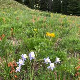 Review photo of Gunnison National Forest Lake Irwin Campground by Campground Recon C., October 6, 2020