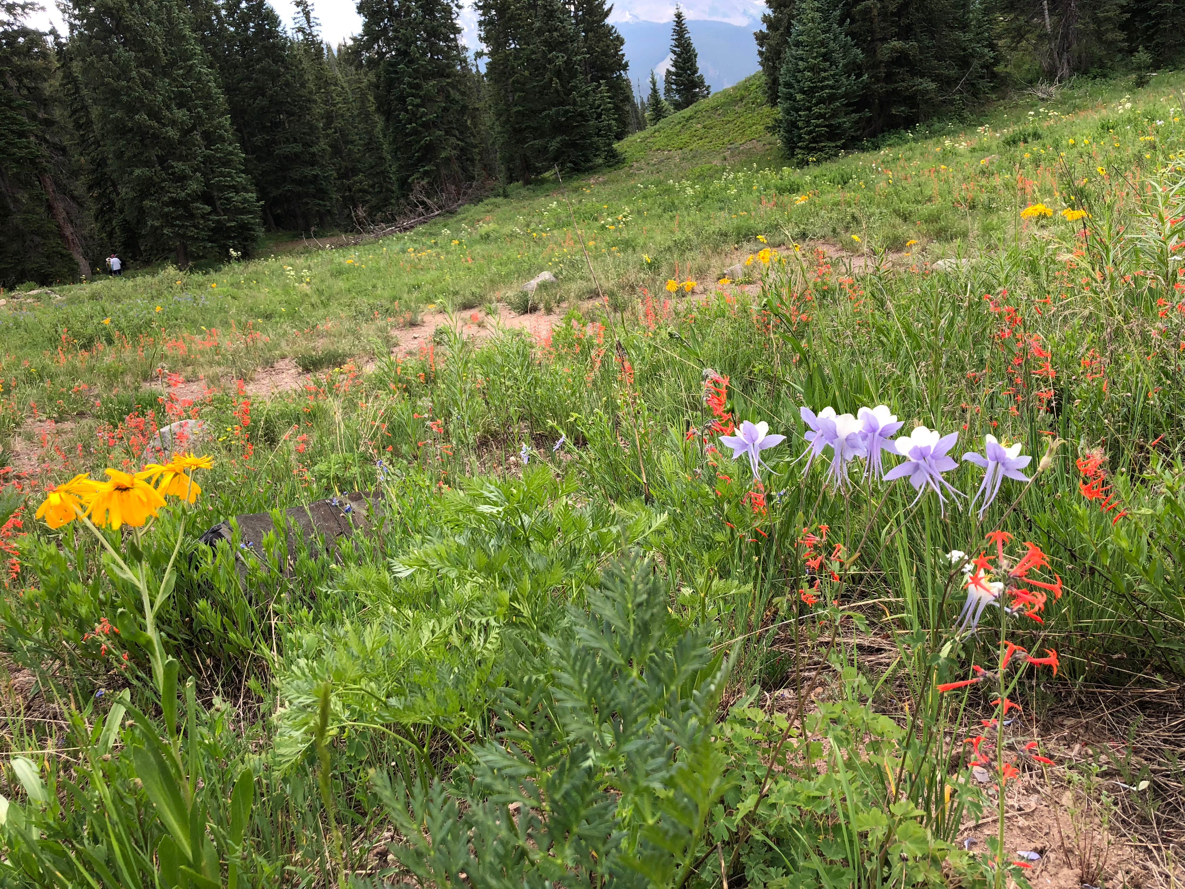 Camper-submitted photo at Gunnison National Forest Lake Irwin Campground near Crested Butte, CO