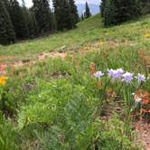 Review photo of Gunnison National Forest Lake Irwin Campground by Campground Recon C., October 6, 2020