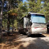 Review photo of Colter Bay RV Park at Colter Bay Village — Grand Teton National Park by Tina J., October 6, 2020