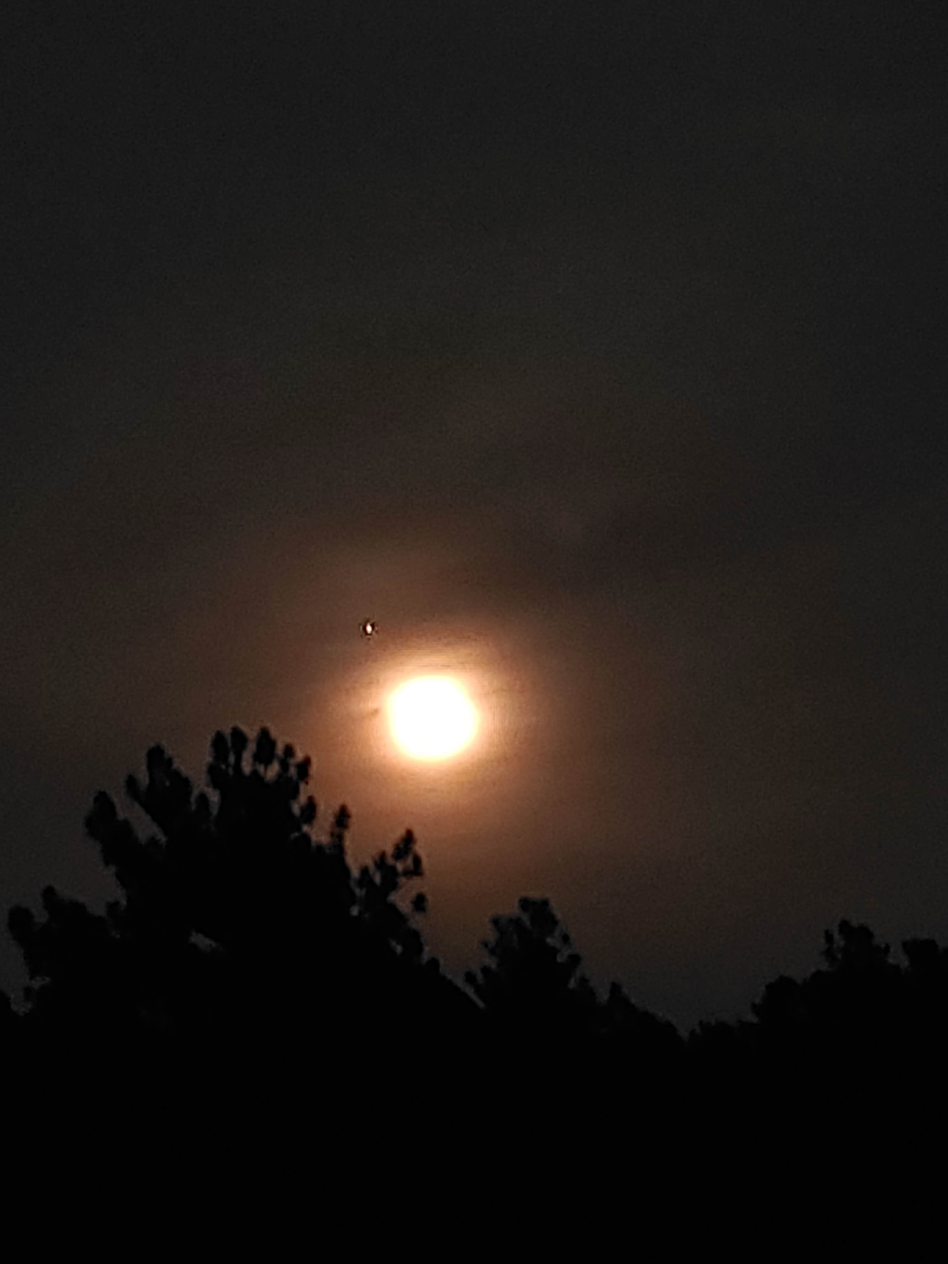 Camping near LaVern M. Johnson Park: Big Thomson Campground at Carter Lake, Lyons, Colorado