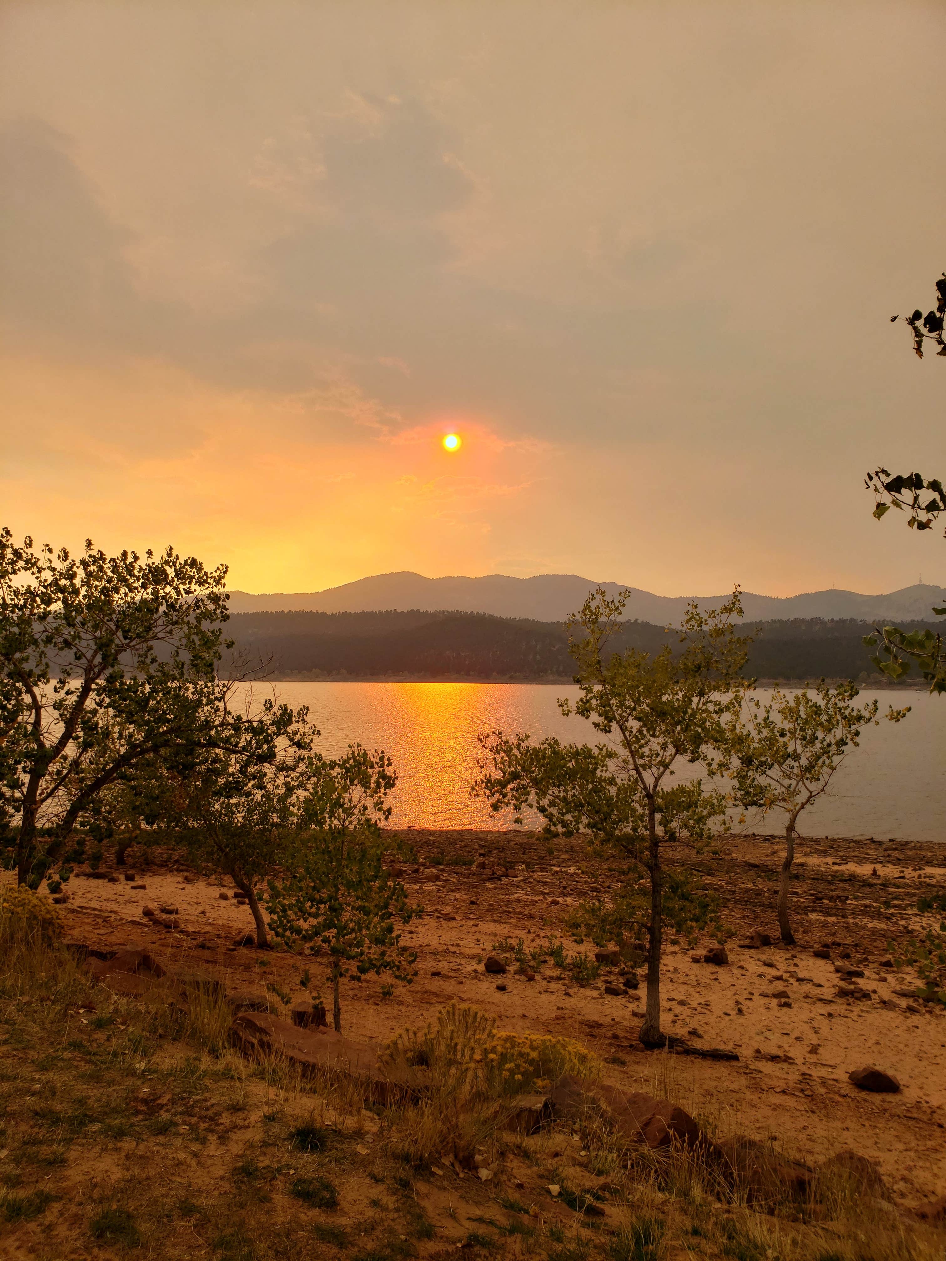 Camper submitted image from Big Thomson Campground at Carter Lake - 3