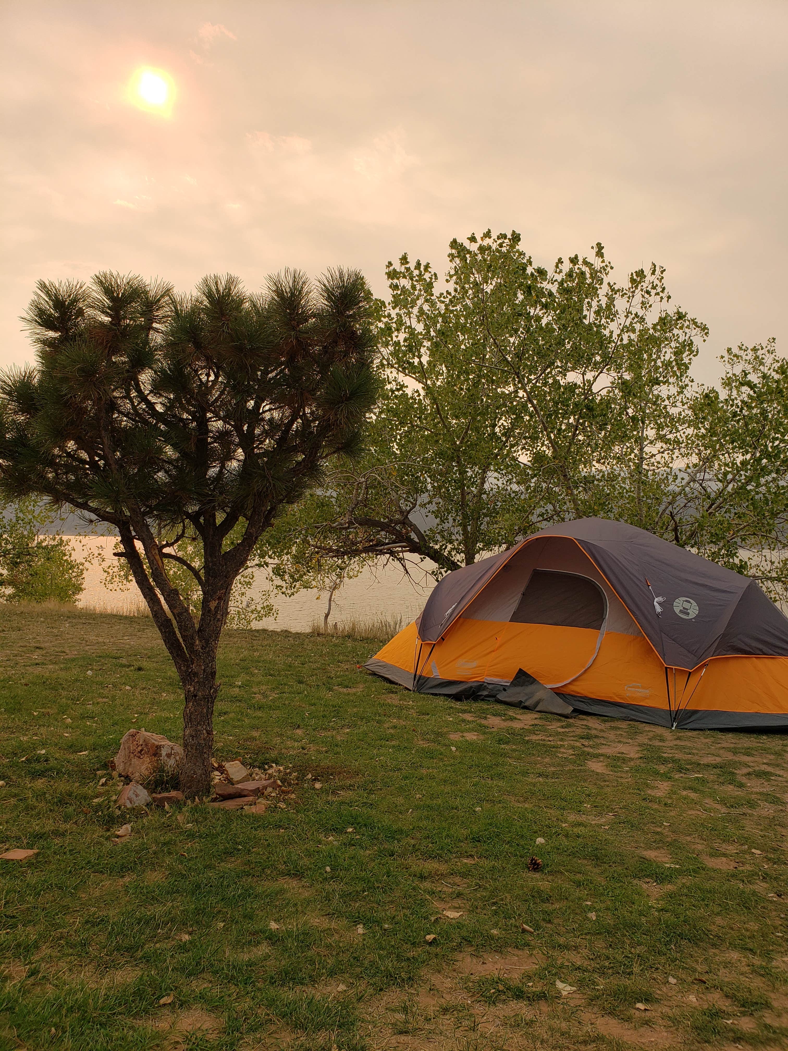 Camper submitted image from Big Thomson Campground at Carter Lake - 4