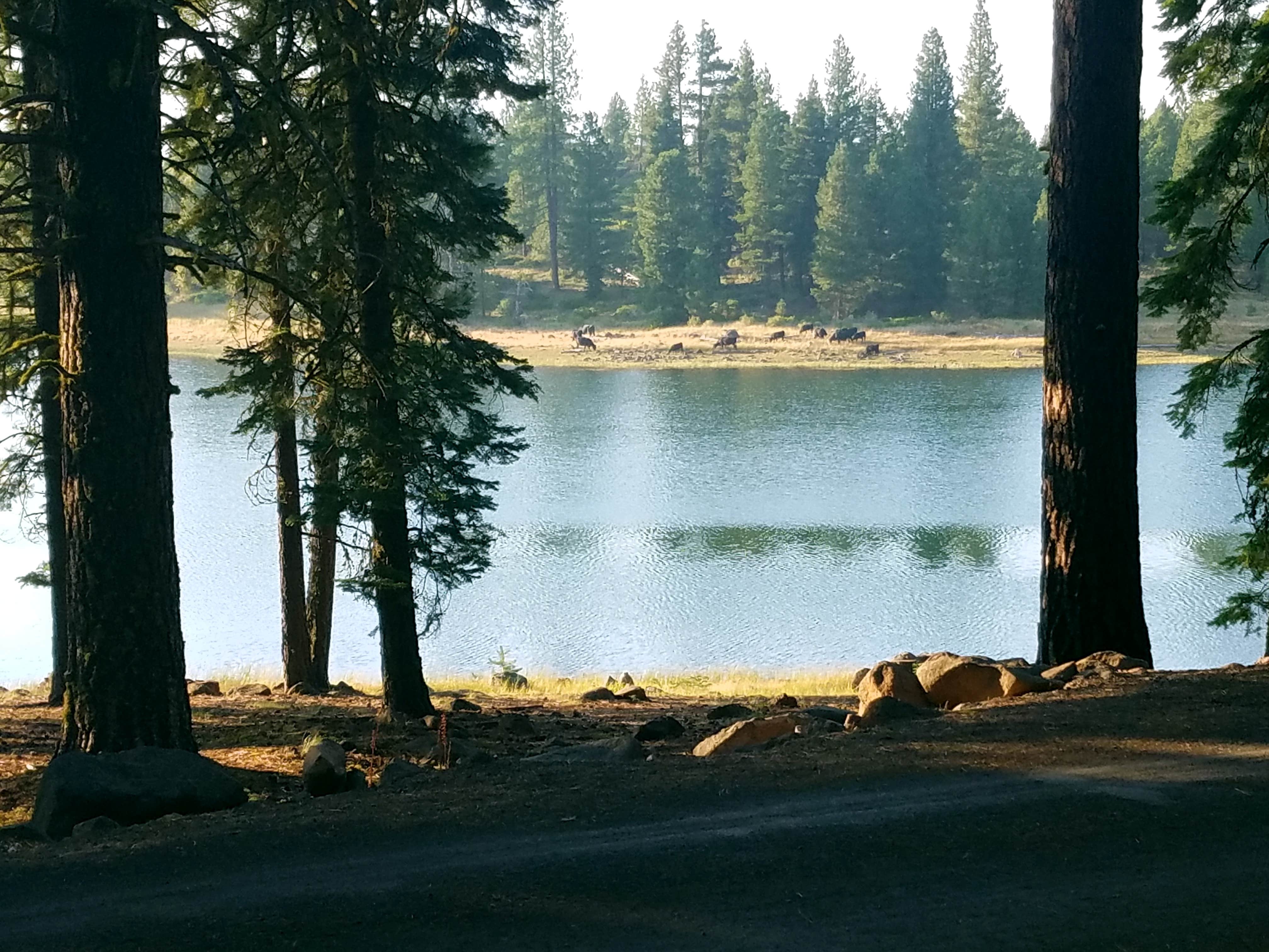 Camper-submitted photo at Lofton Reservoir near Lakeview, OR