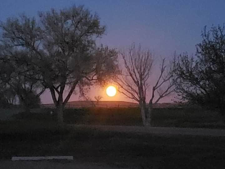Lake Hasty John Martin Reservoir State Park The Dyrt