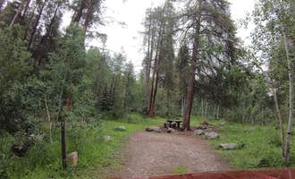 Camping near Mollie B_white River: Elk Wallow, Meredith, Colorado