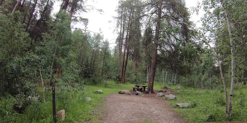 Camper submitted image from Elk Wallow