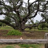 Review photo of Goose Island State Park Campground by Jeff , September 28, 2020