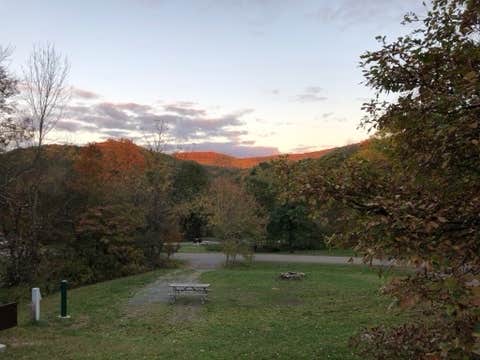 View All