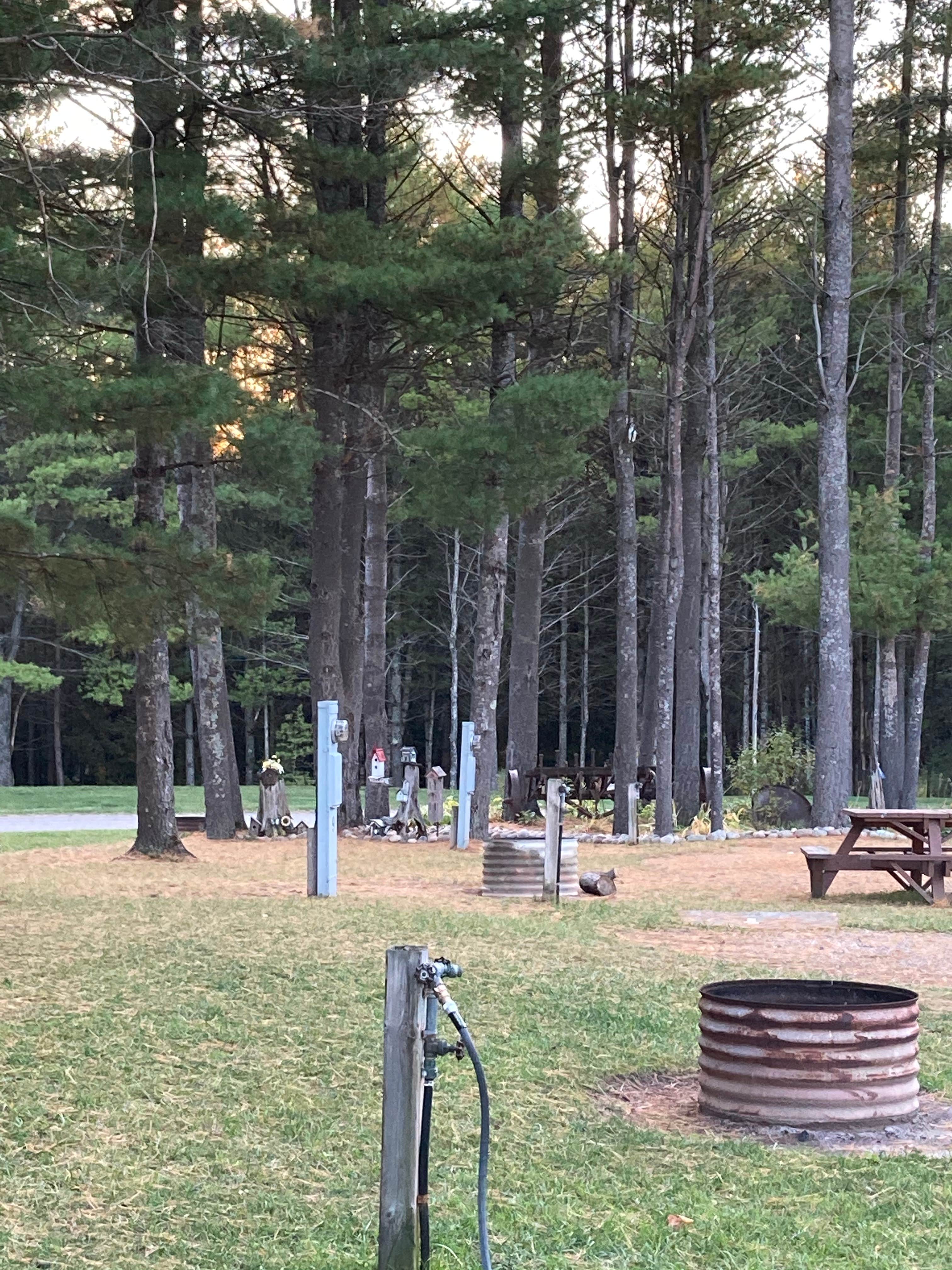 Camper submitted image from Northern Bear Paw RV Park - 4