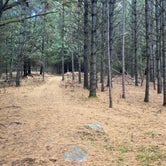 Review photo of Northern Bear Paw RV Park by Nellie , October 6, 2020