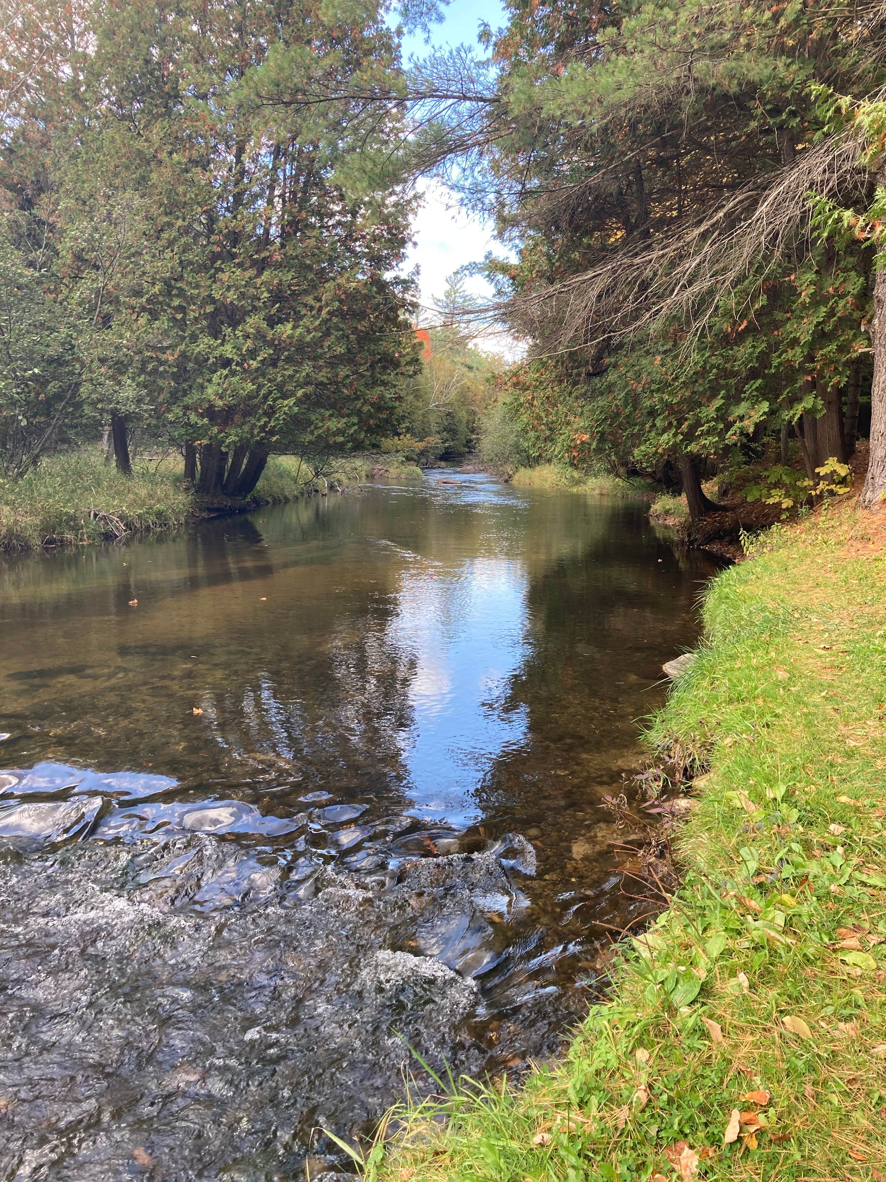 Camper submitted image from Northern Bear Paw RV Park - 5