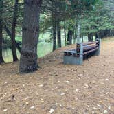 Review photo of Northern Bear Paw RV Park by Nellie , October 6, 2020