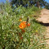 Review photo of Mesquite Campground — Palo Duro Canyon State Park by Jeff , October 6, 2020