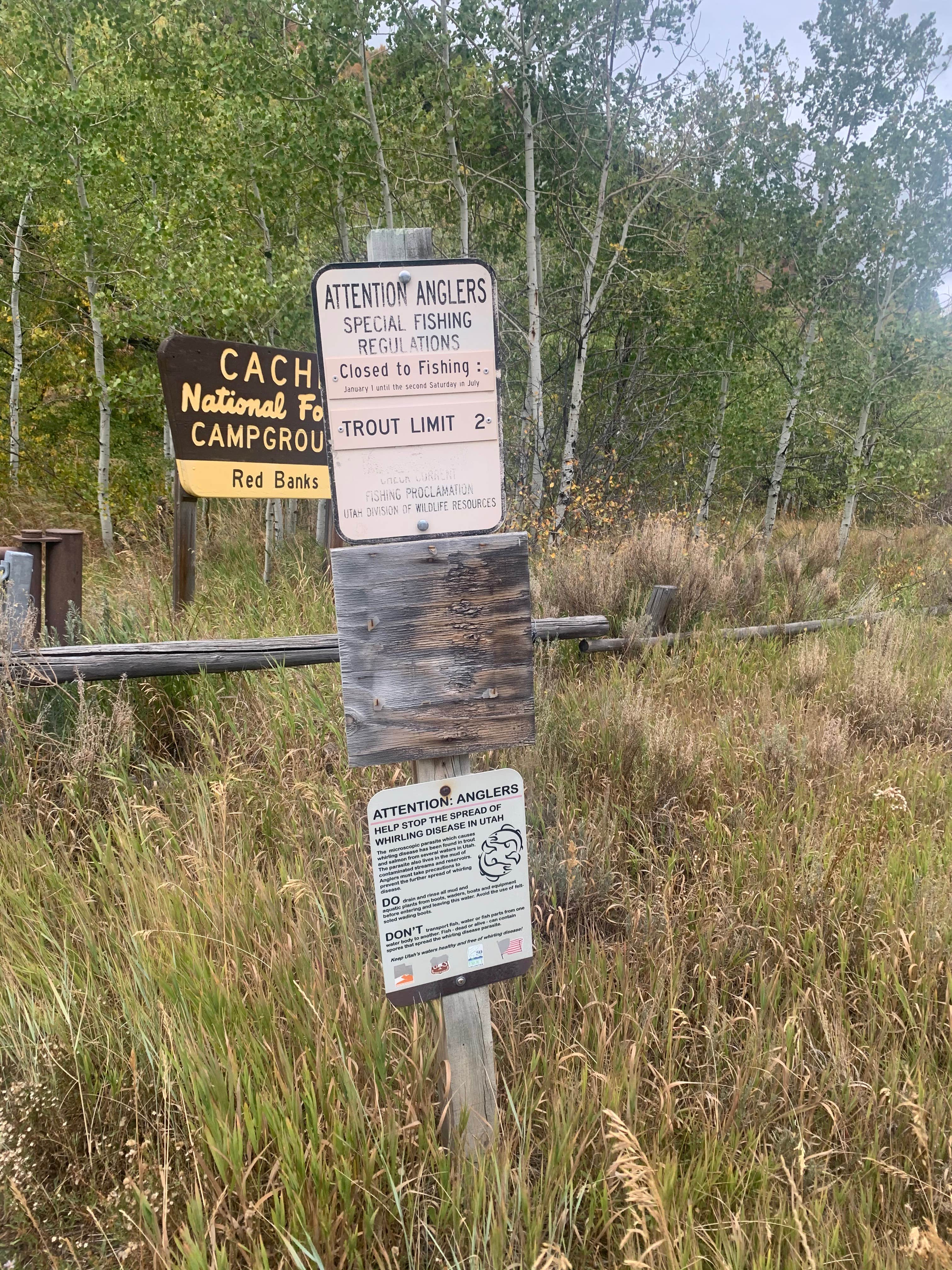 Camper submitted image from Red Banks Campground - 5