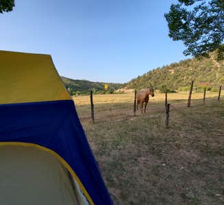 Camper-submitted photo from Bryce Zion Campground