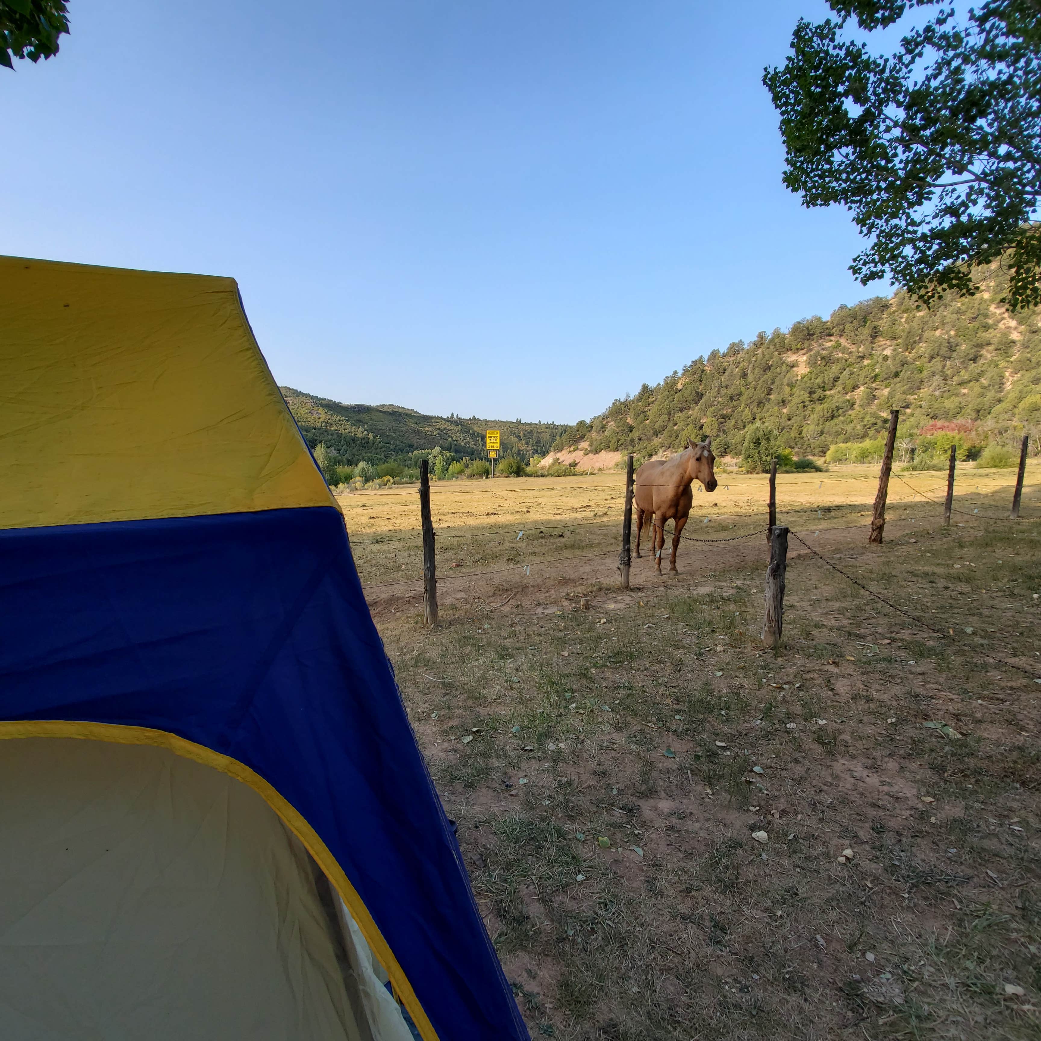 Camper submitted image from Bryce Zion Campground - 3