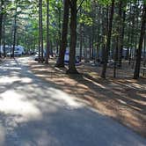 Review photo of Traverse City State Park Campground by Erin H., July 9, 2016