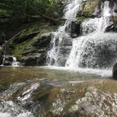 Review photo of Yogi Bear's Jellystone Park Luray by Zach P., October 6, 2020