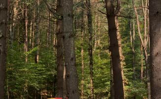 Grace D.'s photo at Savage River State Forest near Meyersdale, PA