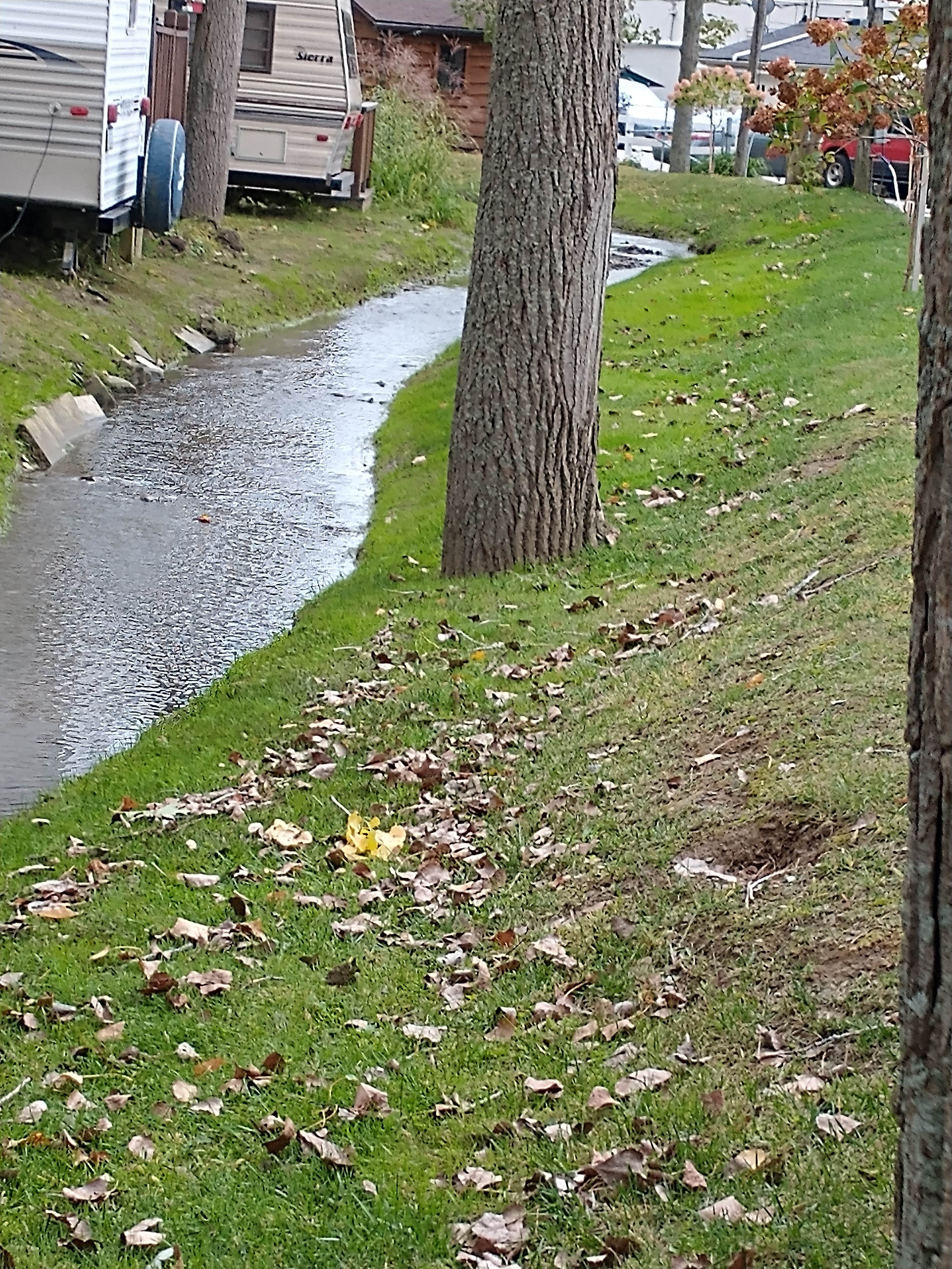 Camper submitted image from Sara's Campground - 4