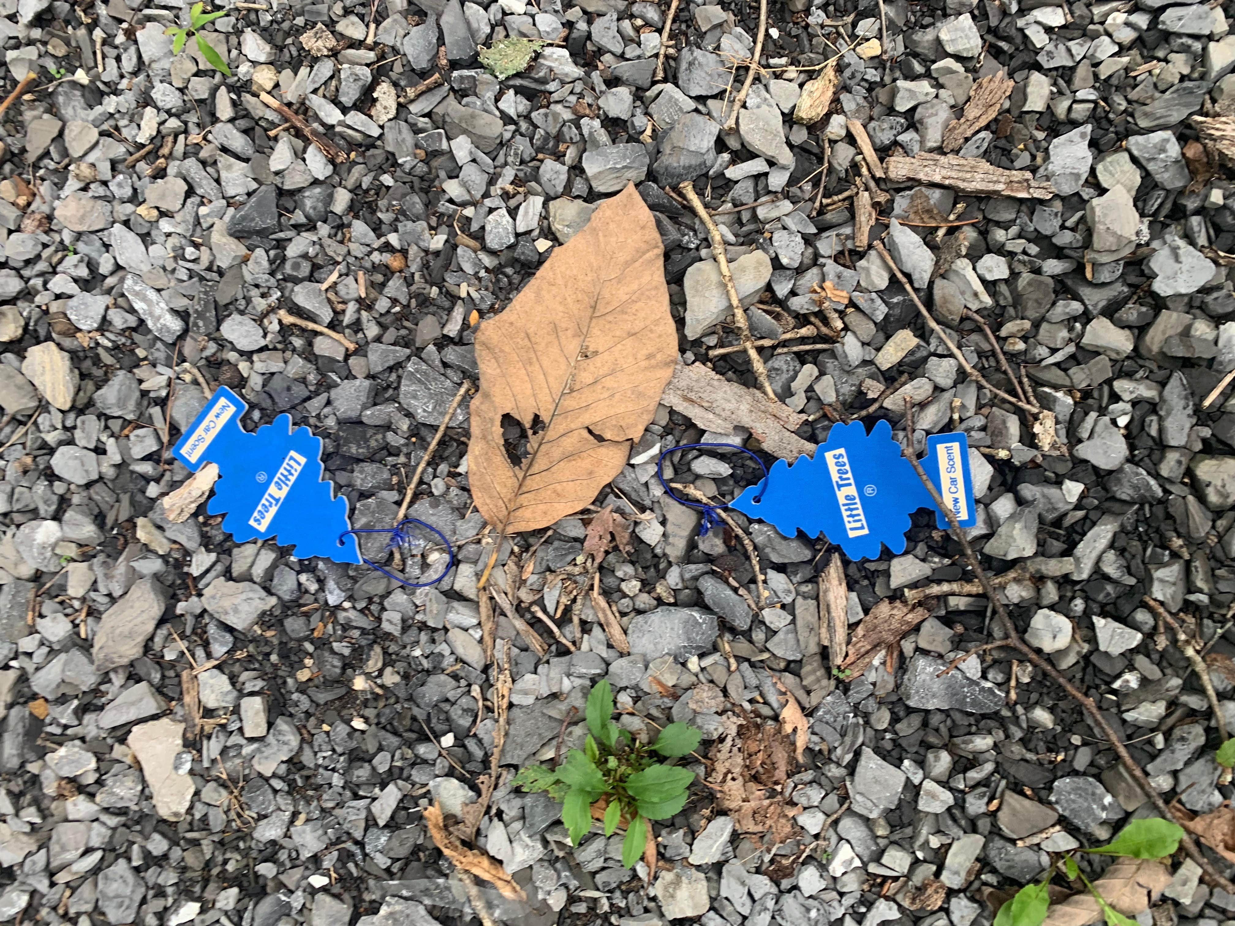 An example of the trash we found at the site.