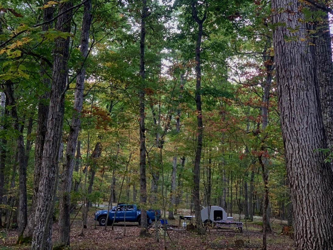 Grace D.'s photo at Hawk Recreation Area Campground near High View, WV