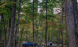 Grace D.'s photo at Hawk Recreation Area Campground near Star Tannery, VA