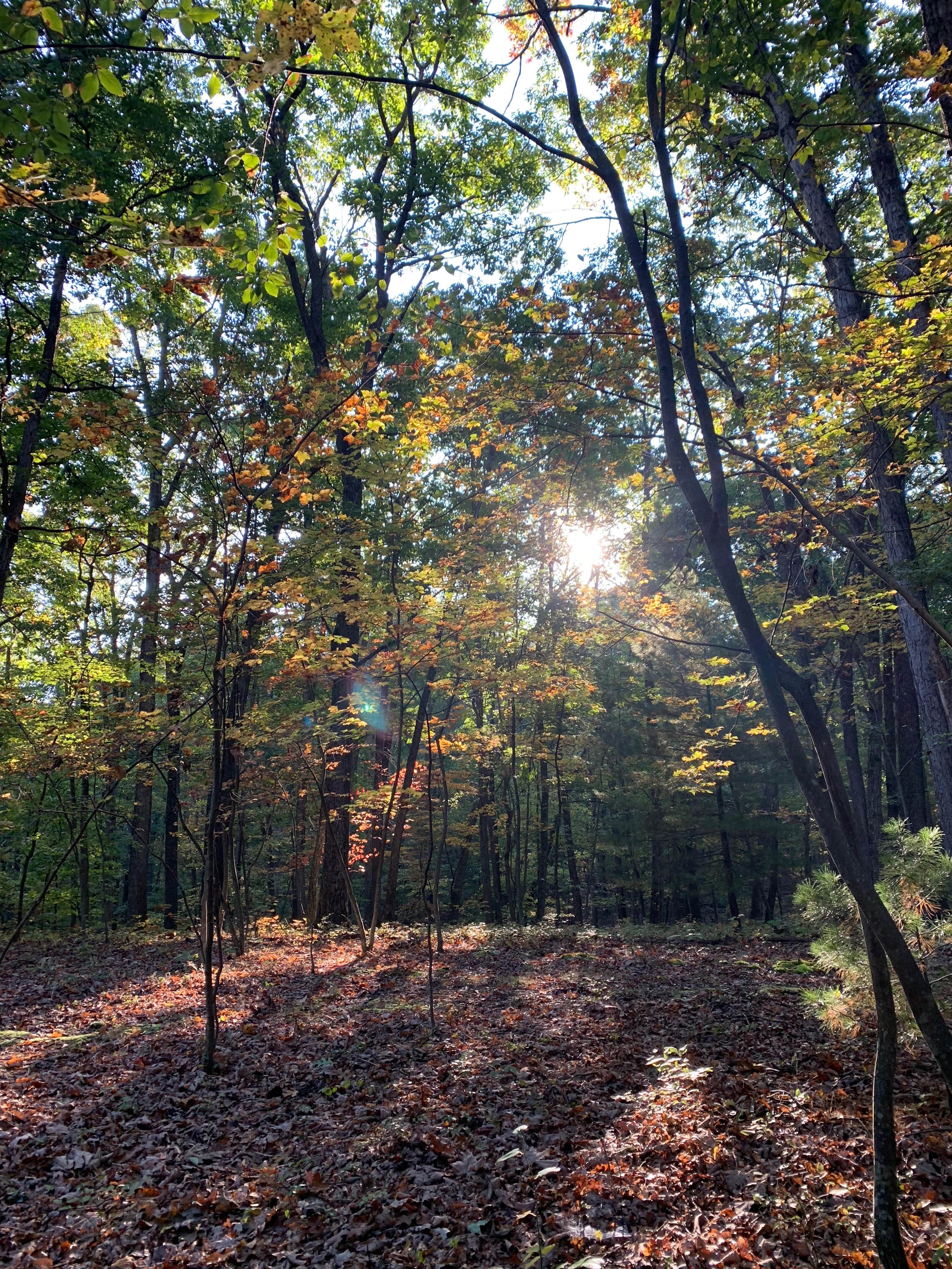 Camper-submitted photo at Hawk Recreation Area Campground near Winchester, VA
