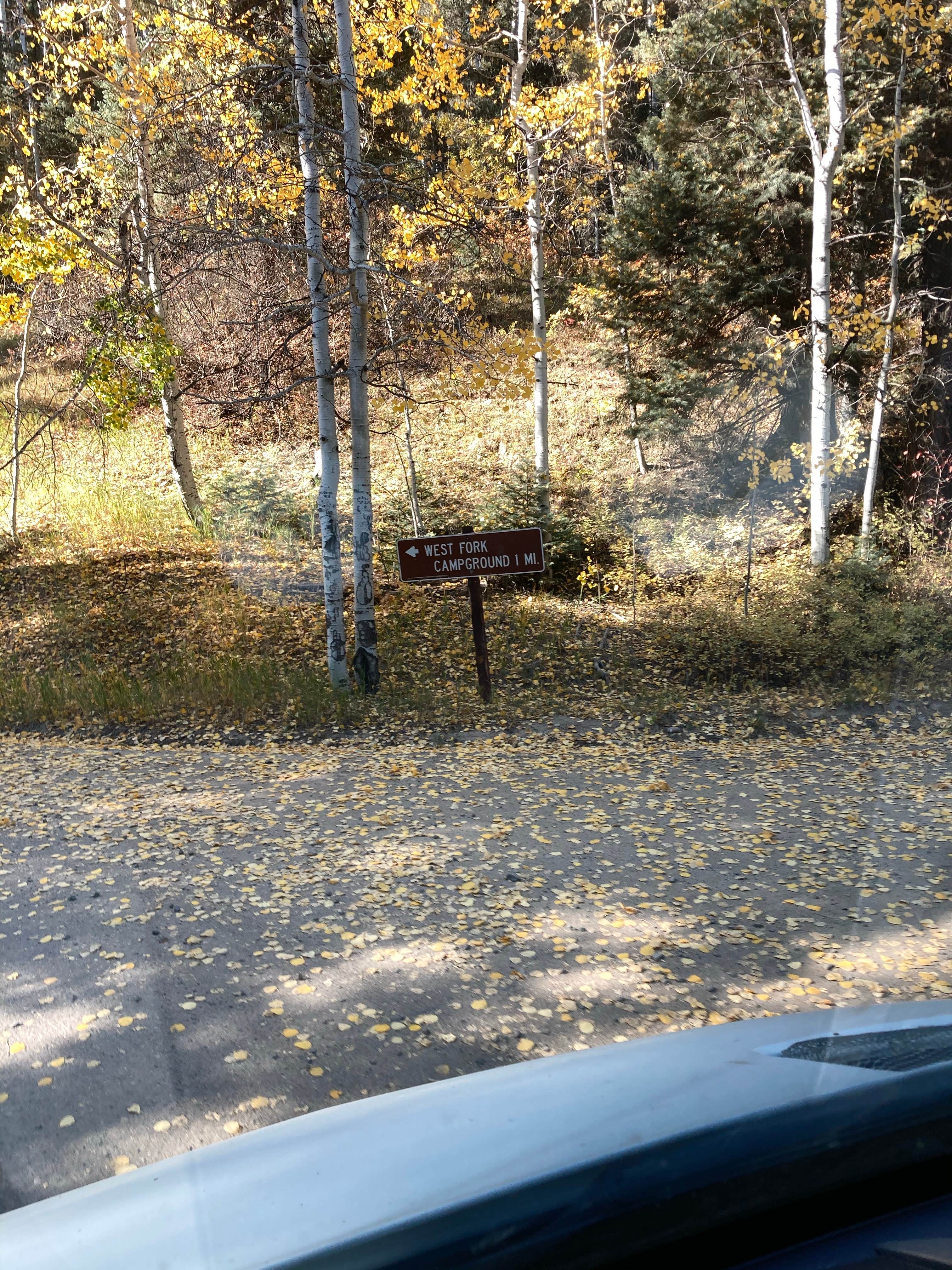 Camper submitted image from West Fork Dispersed - 4