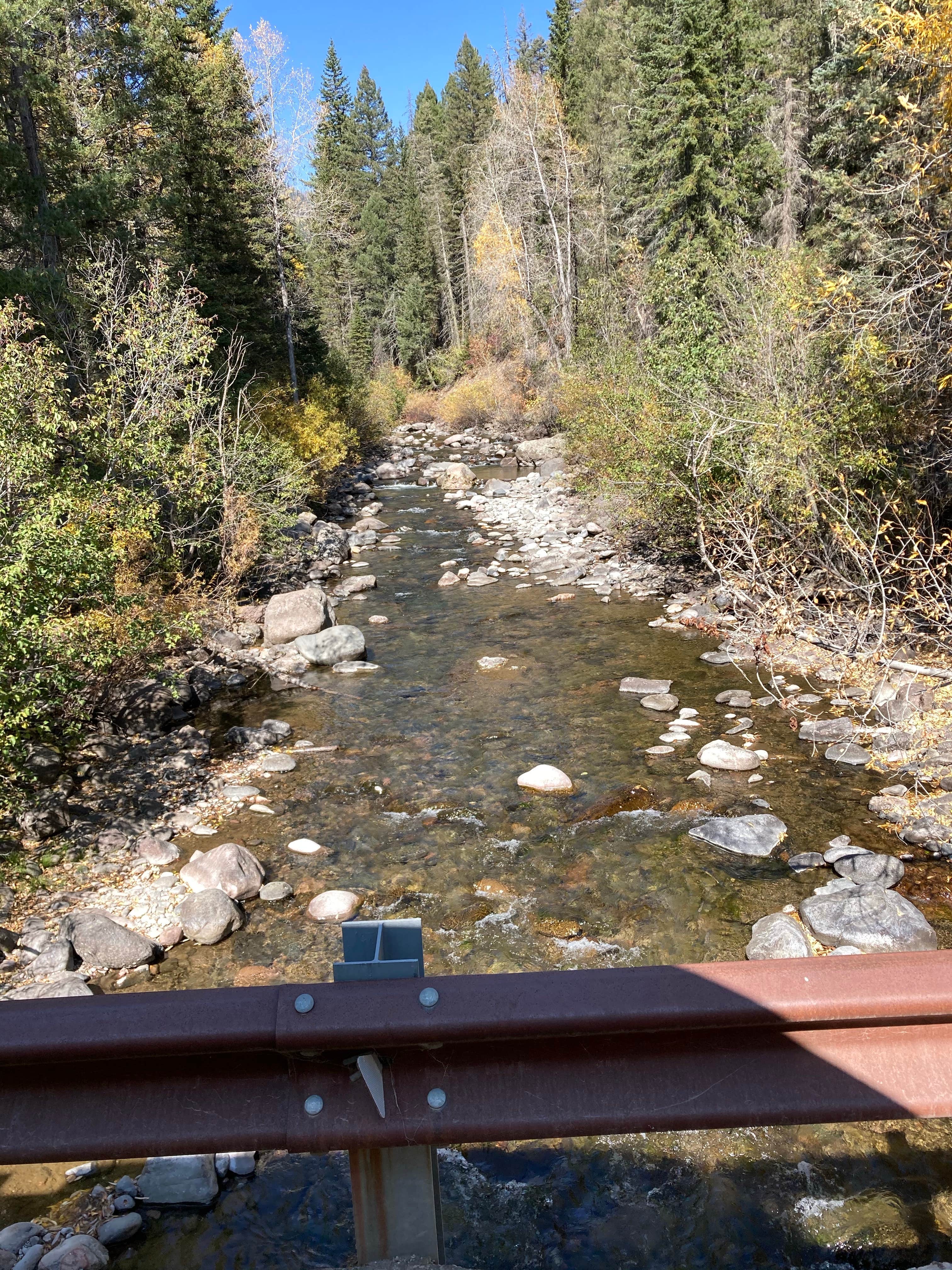 Camper-submitted photo at West Fork Dispersed near Pagosa Springs, CO