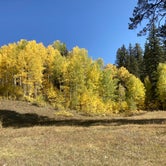 Review photo of West Fork Dispersed by Sofia A., October 6, 2020