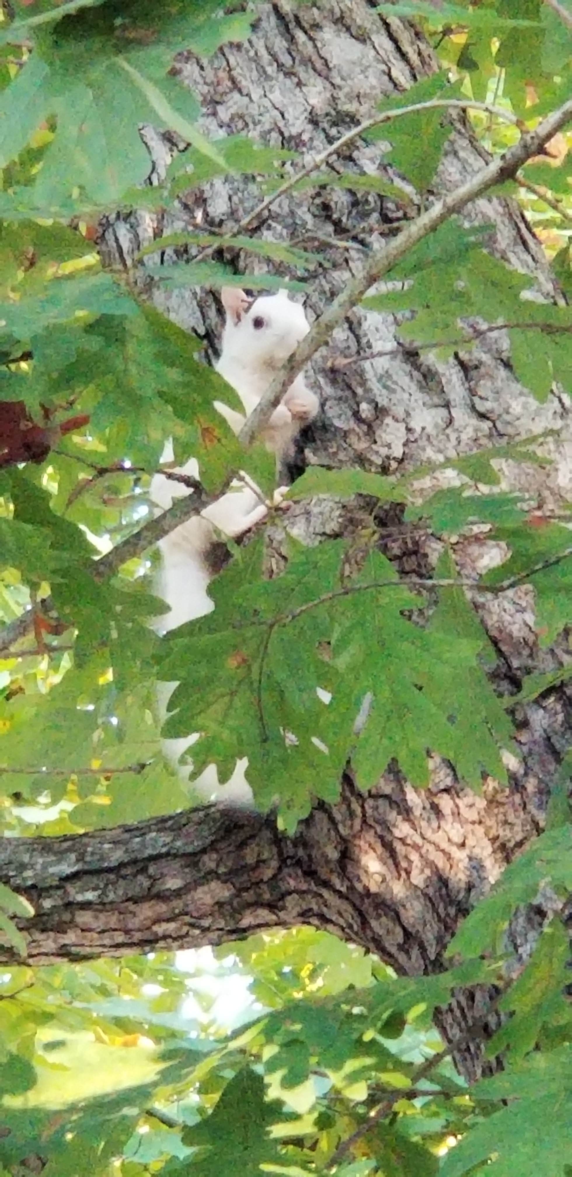Camper-submitted photo at Lakeside RV Campground near Newton, IL