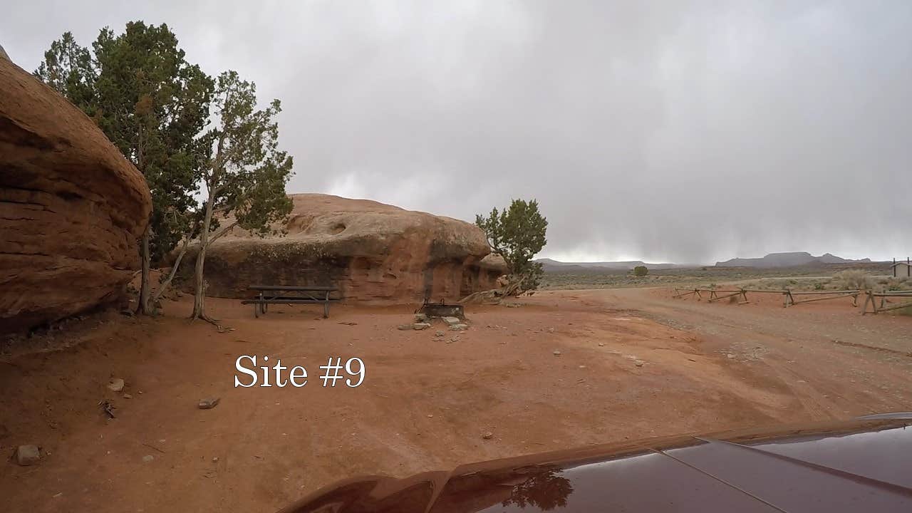 Camper submitted image from Hamburger Rock Campground - 4