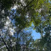 Review photo of Alexander Springs Recreation Area by Joshua W., October 7, 2020
