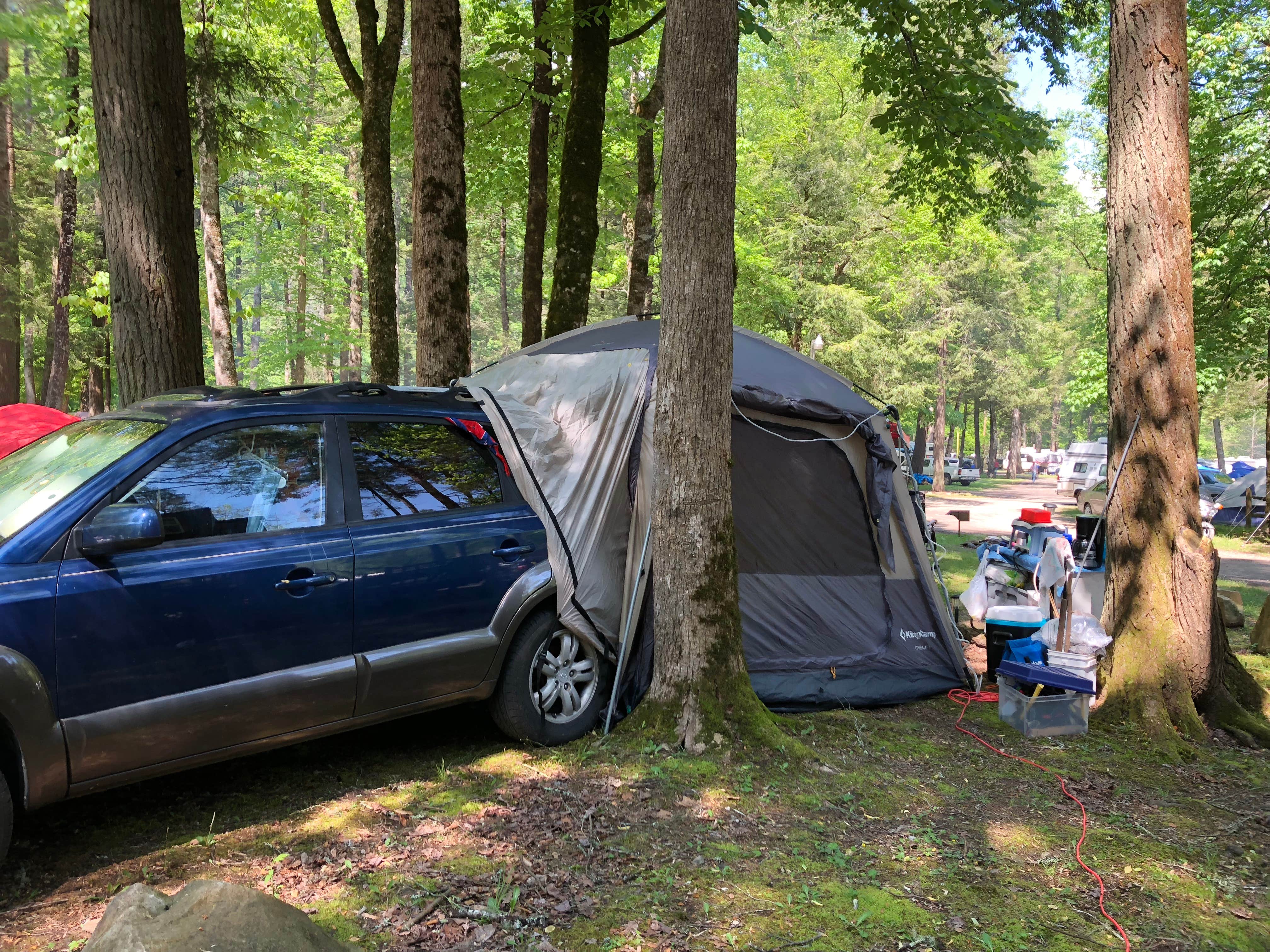 Shellie M.'s photo at Yogi Bear's Jellystone Park Camp-Resort Yogi Bear in the Smokies near Cherokee, NC