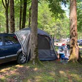 Review photo of Yogi Bear's Jellystone Park Camp-Resort Yogi Bear in the Smokies by Shellie M., May 20, 2018