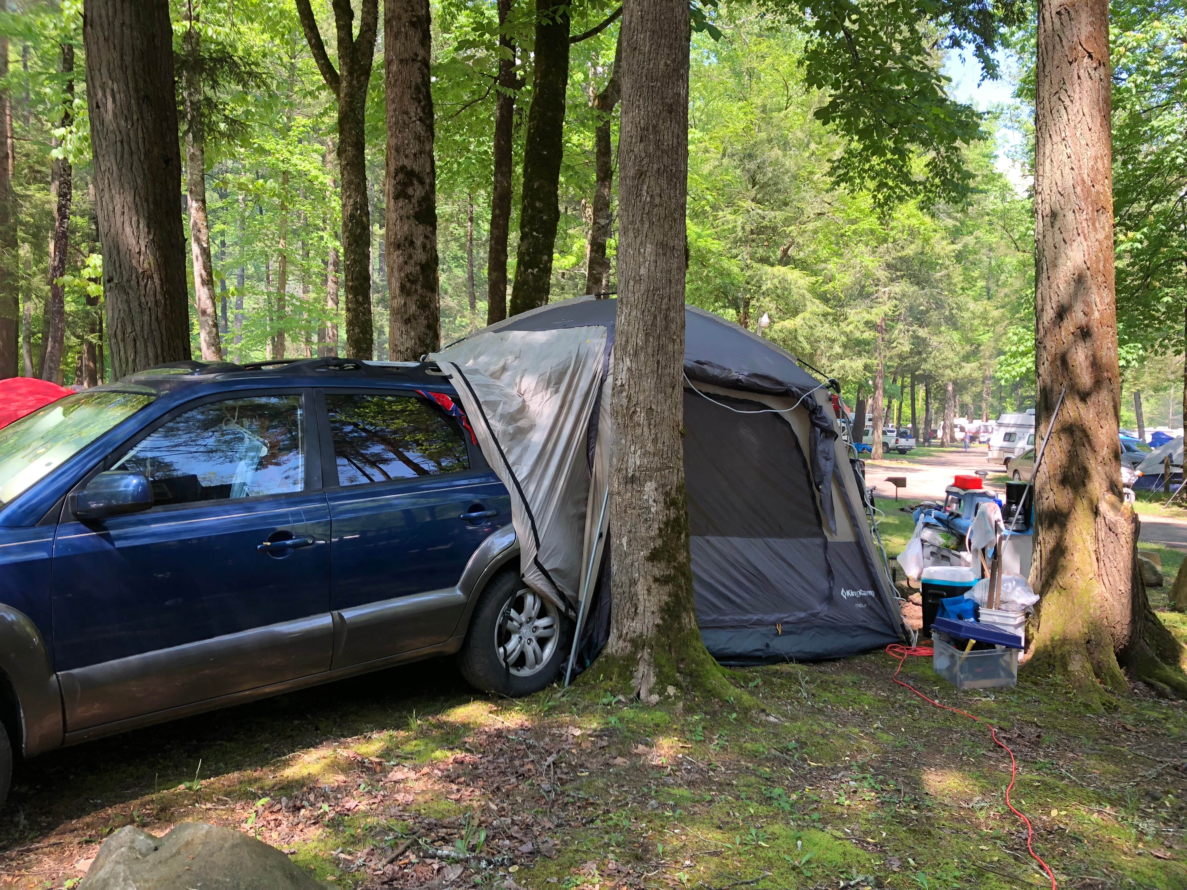 Camper submitted image from Yogi Bear's Jellystone Park Camp-Resort Yogi Bear in the Smokies - 5