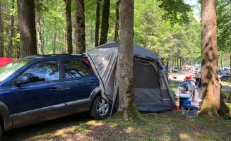 Shellie M.'s photo at Yogi Bear's Jellystone Park Camp-Resort Yogi Bear in the Smokies near Cherokee, NC