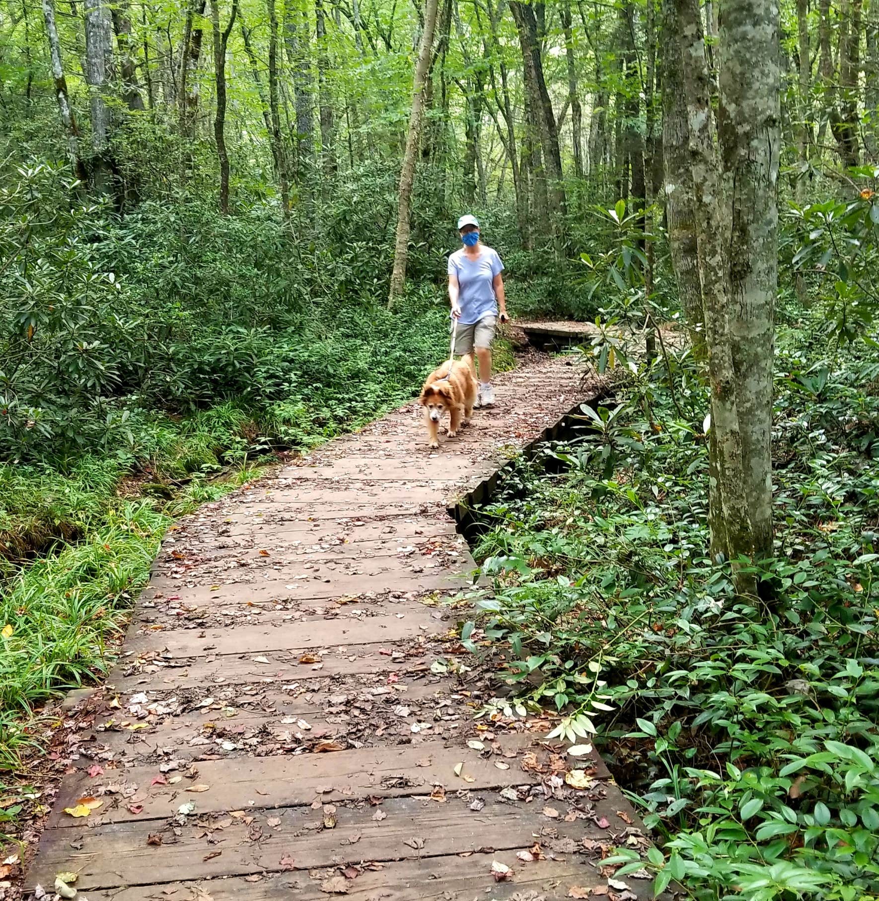 Camper-submitted photo at Panthertown Valley Backcountry Area near Pisgah Forest, NC